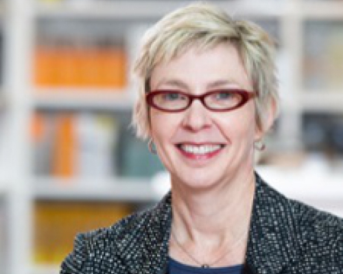 Jeri Brittin PhD
