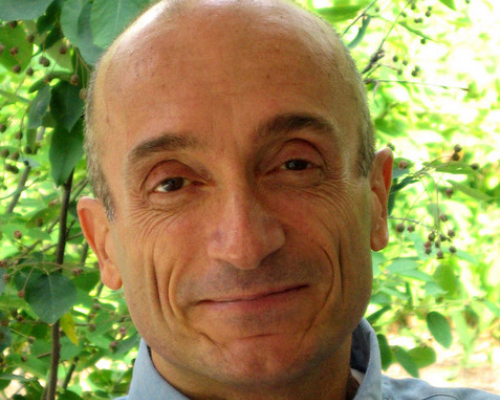 David Kamp